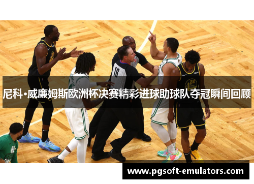 尼科·威廉姆斯欧洲杯决赛精彩进球助球队夺冠瞬间回顾