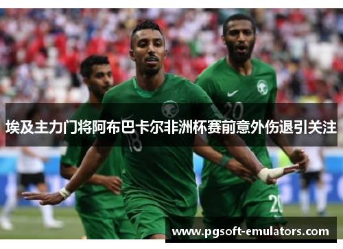 埃及主力门将阿布巴卡尔非洲杯赛前意外伤退引关注 埃及主力门将阿布巴卡尔非洲杯赛前意外伤退引关注